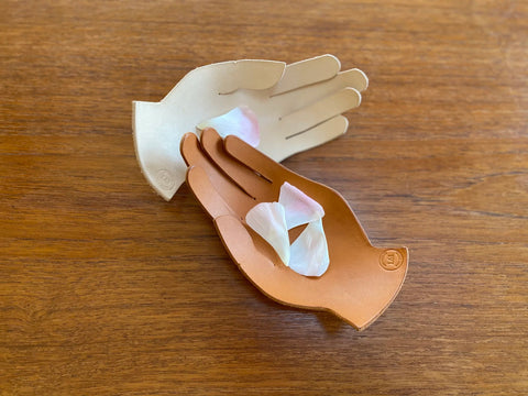 HAND Tray