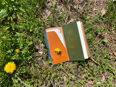 TN [Duo] Insert for Traveler’s Notebook