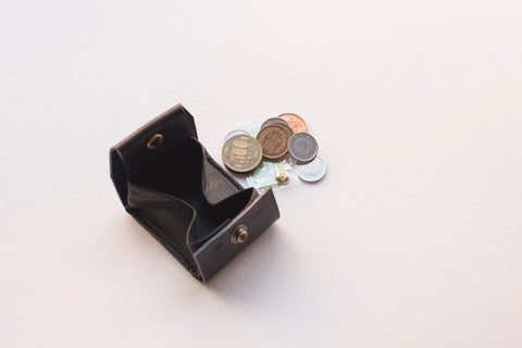 Coin Fold